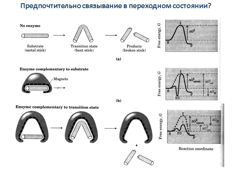 Предпочтительно связывание в переходном состоянии?